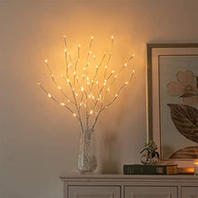 Load image into Gallery viewer, Vanthylit 3PK 30'' Lighted Birch Twig Branches with 60 LED Warm White Bulbs Waterproof Adapter in for Outdoor and Indoor Decor