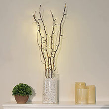 Load image into Gallery viewer, Vanthylit Lighted Natural Willow Twig Branches with 48LED Floor Vases Decorative Light String for Christmas Wedding Party Home Holiday Decoration Warm White Lights