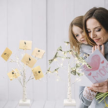 Load image into Gallery viewer, PEIDUO Set of 2 Money Trees, Lighted 2FT 24LT Gift Card Tree with Clips and Greeting Cards, Money Tree Gift Holder for Birthday, Christmas, Halloween, Wedding, Graduation and Back to School Gifts