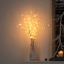 Load image into Gallery viewer, Vanthylit 3PK Lighted Birch Twig Branches with 30'' 90 LED Pathway Lights Waterproof Plug for Outdoor and Indoor Decor