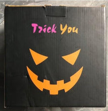 Load image into Gallery viewer, EAMBRITE Halloween Decorations Giant Spider Web with Purple Lights Light up Black Spiderweb Mains Powered Halloween Outdoor Lights Waterproof for Garden Yard Décor (5m/16ft)