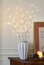 Load image into Gallery viewer, EAMBRITE Home Decorative Twig Lights Lighted White Birch Twig Branches Pathway Stakes with 60 LED White Lights Waterproof Plug in for Outdoor and Indoor Decor (3PK, 76cm)