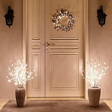 Load image into Gallery viewer, EAMBRITE 90LT Birch Twig Branches with Fairy Lights 30IN Natural Willow Branches Plug in