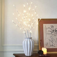 Load image into Gallery viewer, EAMBRITE Lighted White Branches 30IN 60 LED, Natural Decorative Willow Branches Twig Lights Plug in for Vases, Tree Lamp for Home Party Wedding Holiday Indoor Outdoor Room Decoration