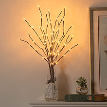 Load image into Gallery viewer, Vanthylit 3PK 30" Brown Lighted Twig Branches Pathway Light 60 LED Warm White Bulbs for Outdoor and Indoor