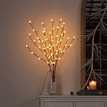 Load image into Gallery viewer, Vanthylit Lighted 30'' 3PK Twig Branches with Frosted Ball 60LED Pathway Lights Waterproof Adapter Brown Willow Branch Lights for Outdoor and Indoor Decor