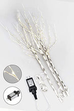 Load image into Gallery viewer, EAMBRITE 90LT Birch Twig Branches with Fairy Lights 30IN Natural Willow Branches Plug in