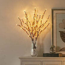 Load image into Gallery viewer, Vanthylit Lighted 76cm 3PK Decorative Twigs Branches Pathway Lights with 60LED Beads Branch Lights Waterproof Mains Powered Twig Lights for Indoor Outdoor Christmas Decoration
