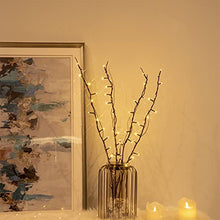 Load image into Gallery viewer, EAMBRITE 30" 48LT Brown Branch Lighted Willow Branch Battery Powered for Home Bedroom Decor