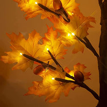 Load image into Gallery viewer, EAMBRITE Artificial Plants Maple Leave Display Tree with Lights Battery Operated LED Twig Tree Decoration for Party Wedding Home (2FT/60CM)
