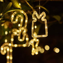Load image into Gallery viewer, EAMBRITE 9FT 120LT LED Curtain Lights Outdoor String Lights Decorations for Christmas Wedding Party Indoor Outdoor