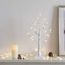 Load image into Gallery viewer, Eambrite Twig Christmas Tree 2FT Frosted Ball White Birch Tree with 24 Warm White Lights Battery Operated Tabletop Tree for Christmas Home Party Wedding Indoor Decoration