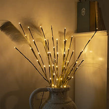 Load image into Gallery viewer, Vanthylit Lighted Twig Willow Branches with Dimmer 30” Brown Branches with 60LT Warm White Light for Home Holiday Christmas Decoration Indoor and Outdoor Use