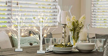 Load image into Gallery viewer, EAMBRITE Home Decorations Light Up Tree Indoor,Set of 4 Birch Tree with Led Lights, Battery Operated Tabletop Bonsai Tree Lights Money Tree Wedding Party (2FT / Warm White)