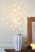 Load image into Gallery viewer, EAMBRITE Home Decorative Twig Lights Lighted White Twig Branches Pathway Stakes with 60 LED White Lights Waterproof Plug in for Outdoor and Indoor Decor (3PK, 76cm)