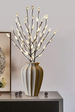 Load image into Gallery viewer, EAMBRITE Brown Twig Branches with Acrylic Leaves 30IN 60LT Outdoor Garden Stake Lights with Warm White LED Plug in for Walkway Patio Yard Garden Lawn Decoration Indoor and Outdoor Use (Vase Excluded)