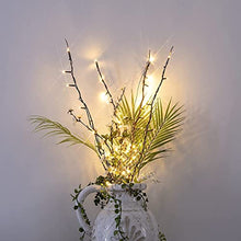 Load image into Gallery viewer, Vanthylit Twig Lights 30 Inch Lighted Natural Willow Twig Branches Battery Operated Floor Vase Decorative Tree Branches with 48 LED Warm White Lights for Indoor Decoration