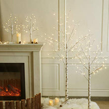 Load image into Gallery viewer, EAMBRITE White Birch Tree 24IN 24LT Lighted Frosted Ball Twig Tree with Timer for Home Wedding Holiday Birthday Party Decoration Indoor Use