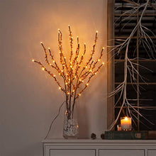 Load image into Gallery viewer, Vanthylit Lighted Branches with 3PK 60LED Twig Lights Plug in for Home Decoration, Light up Willow Branch Lights for Vases