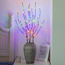 Load image into Gallery viewer, PEIDUO Electric Lighted Willow Branch Plug 30Inch 3PK 60L LED Pathway Lights for Christmas Room Decoration Indoor Apartment Outdoor Stake Lights for Lawn