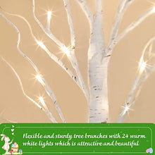 Load image into Gallery viewer, PEIDUO Easter Decorations for The Home, Easter Tree with 12 Hanging Ornaments, Easter Egg Tree Battery Powered Timer, Lighted Birch Tree with LED Lights for Easter Decor (2FT 24 Warm White Lights)