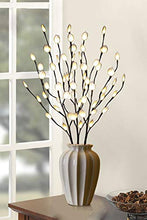 Load image into Gallery viewer, Vanthylit Lighted 30'' 3PK Twig Branches Pathway Light with White Leaf 60LED Branches Lights Waterproof Brown Willow Branch Lights for Outdoor and Indoor Decor