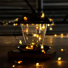 Load image into Gallery viewer, EAMBRITE Set of 2 Easter Decorations Lights 10Ft 60LT Easter Eggs Chick Fairy Lights and Carrot Bunny String Lights Set with Timer Battery Operated Spring Indoor Decor for Home Party Table Tree