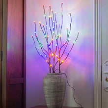 Load image into Gallery viewer, PEIDUO Electric Lighted Willow Branch Plug 30Inch 3PK 60L LED Pathway Lights for Christmas Room Decoration Indoor Apartment Outdoor Stake Lights for Lawn