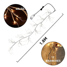 Load image into Gallery viewer, EAMBRITE Christmas Decorations 1.8m White Garland with 48 Warm White Lights Waterproof Pre-Lit Vine Twig Plug in for Indoor Outdoor Home Garden Party Decoration