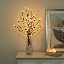 Load image into Gallery viewer, Vanthylit Lighted 30'' 3PK Twig Branches with Frosted Ball 60LED Pathway Lights Waterproof Adapter Brown Willow Branch Lights for Outdoor and Indoor Decor