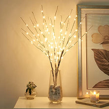 Load image into Gallery viewer, Vanthylit 3PK Lighted Birch Twig Branches with 30'' 90 LED Pathway Lights Waterproof Plug for Outdoor and Indoor Decor