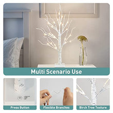 Load image into Gallery viewer, PABIPABI 4 Packs Lighted Birch Tree 24 LED 24'' Christmas Tree Small Bonsai Tree Artificial Tree Lights Battery Powered Timer Warm White Mini Table Top Tree for Home Office Wedding Decor