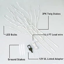 Load image into Gallery viewer, EAMBRITE Pre Lit White Birch Twig Branch Lights 30IN 60LT Plug in Lighted Willow Branch for Home Holiday Party Wedding Spring Decoration Indoor and Outdoor Use (Vase Excluded)