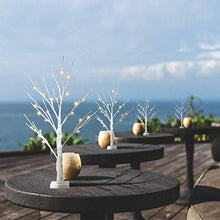 Load image into Gallery viewer, DELICHTER 4er Set Lichterbaum Lichterzweige für Innen 24 Warmweiß LEDs Bäumchen Birken Dekozweige Batteriebetrieb Weihnachtsdeko für Zuhause Party Geburtstag Hochzeit Innendekoration (60cm/2ft)