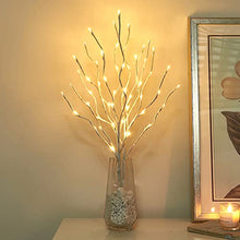 Load image into Gallery viewer, Vanthylit 3PK 30'' Lighted Pathway Light White Willow Twig Branches with 60 LED Warm White Waterproof Plug in for Outdoor and Indoor Decor