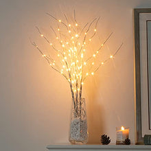 Load image into Gallery viewer, Vanthylit 3PK Lighted Birch Twig Branches with 30'' 90 LED Pathway Lights Waterproof Plug for Outdoor and Indoor Decor