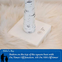Load image into Gallery viewer, PEIDUO Fathers Day Table Decorations, Happy Fathers Day Decorations for Home with 10 Hanging Ornaments, Battery Powered Fathers Day Centerpiece Decorations with Timer (2FT 24LT Warm White)