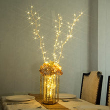 Load image into Gallery viewer, DELICHTER 3er Set Lichterzweige mit 114 LEDs Warmweiße Beleuchtung Lichterkette weidenzweige Deko Leuchte Lichter Zweige Wohnzimmer Innendekoration Außen Weihnachten