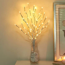 Load image into Gallery viewer, Vanthylit 3PK 30'' Lighted Birch Twig Branches with 60 LED Warm White Bulbs Waterproof Adapter in for Outdoor and Indoor Decor