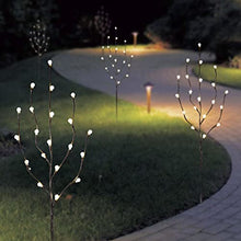 Load image into Gallery viewer, Vanthylit 3PK Twig Lights 76cm Decorative LED Twigs with Frosted Berries Garden Stake Branch Lights with 60 Warm White LEDs Mains Powered for Indoor Outdoor Christmas Decoration