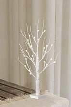 Load image into Gallery viewer, EAMBRITE White Birch Tree 24IN 24LT Lighted Frosted Ball Twig Tree with Timer for Home Wedding Holiday Birthday Party Decoration Indoor Use