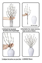 Load image into Gallery viewer, EAMBRITE Lighted Frosted Ball Twig Branches 30IN 60LT Lighted Willow Branch with Warm White LED Plug in for Home Party Wedding Holiday Decoration Indoor Outdoor Use(Vase Excluded)