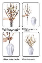 Load image into Gallery viewer, EAMBRITE Natural Twig Branches with Amber Beads 30IN 60LT Lighted Willow Branch Plug in for Home Party Wedding Holiday Decoration Indoor Outdoor Use(Vase Excluded)