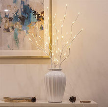 Load image into Gallery viewer, EAMBRITE Home Decorative Twig Lights Lighted White Twig Branches Pathway Stakes with 60 LED White Lights Waterproof Plug in for Outdoor and Indoor Decor (3PK, 76cm)