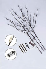 Load image into Gallery viewer, Vanthylit Lighted 3PK Twig Branches Light with Clear Leaf 30'' 60LED Pathway Lights Waterproof Adapter Brown Willow Branch Lights for Outdoor and Indoor Deco