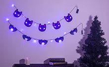 Load image into Gallery viewer, Eambrite Halloween Lights Halloween Fairy Lights Banners Black Cat and Black Bat Battery Operated Halloween Indoor Decorations LEDs String Lights with Timer (5FT, Pack of 2)
