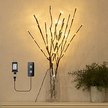 Load image into Gallery viewer, Vanthylit Lighted Twig Willow Branches with Dimmer 30” Brown Branches with 60LT Warm White Light for Home Holiday Christmas Decoration Indoor and Outdoor Use