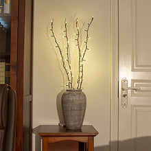 Load image into Gallery viewer, PEIDUO Lighted Willow Branch Battery Powered 30Inch 4PK 48L Warm White LED for Christmas Room Decoration Indoor Apartment
