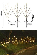 Load image into Gallery viewer, EAMBRITE Brown Twig Branches with Acrylic Leaves 30IN 60LT Outdoor Garden Stake Lights with Warm White LED Plug in for Walkway Patio Yard Garden Lawn Decoration Indoor and Outdoor Use (Vase Excluded)