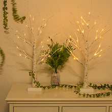 Load image into Gallery viewer, Vanthylit Tabletop Christmas Tree, White Birch Tree with LED Lights- Set of 2, Warm White Small Tree Lights Battery Powered Timer, Lighted Tree for Mantle Christmas Decorations (2FT, 24LED)